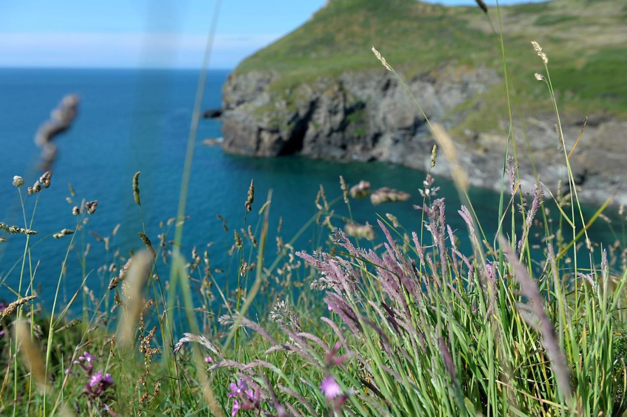 Tranquil Cornish Retreat Close To Port Isaac Beaches And Moor ボドミン エクステリア 写真