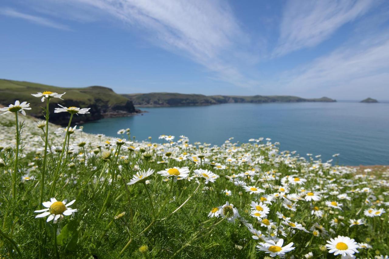 Tranquil Cornish Retreat Close To Port Isaac Beaches And Moor ボドミン エクステリア 写真