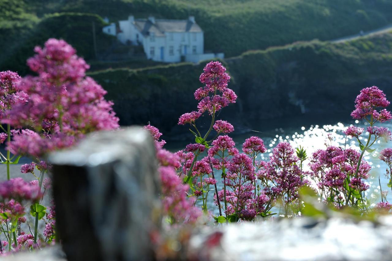 Tranquil Cornish Retreat Close To Port Isaac Beaches And Moor ボドミン エクステリア 写真
