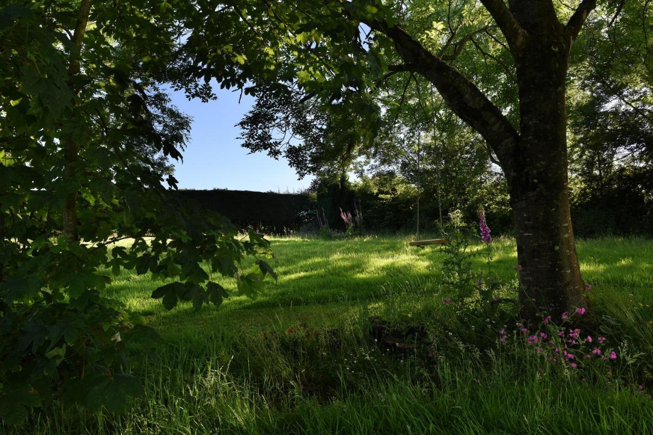 Tranquil Cornish Retreat Close To Port Isaac Beaches And Moor ボドミン エクステリア 写真